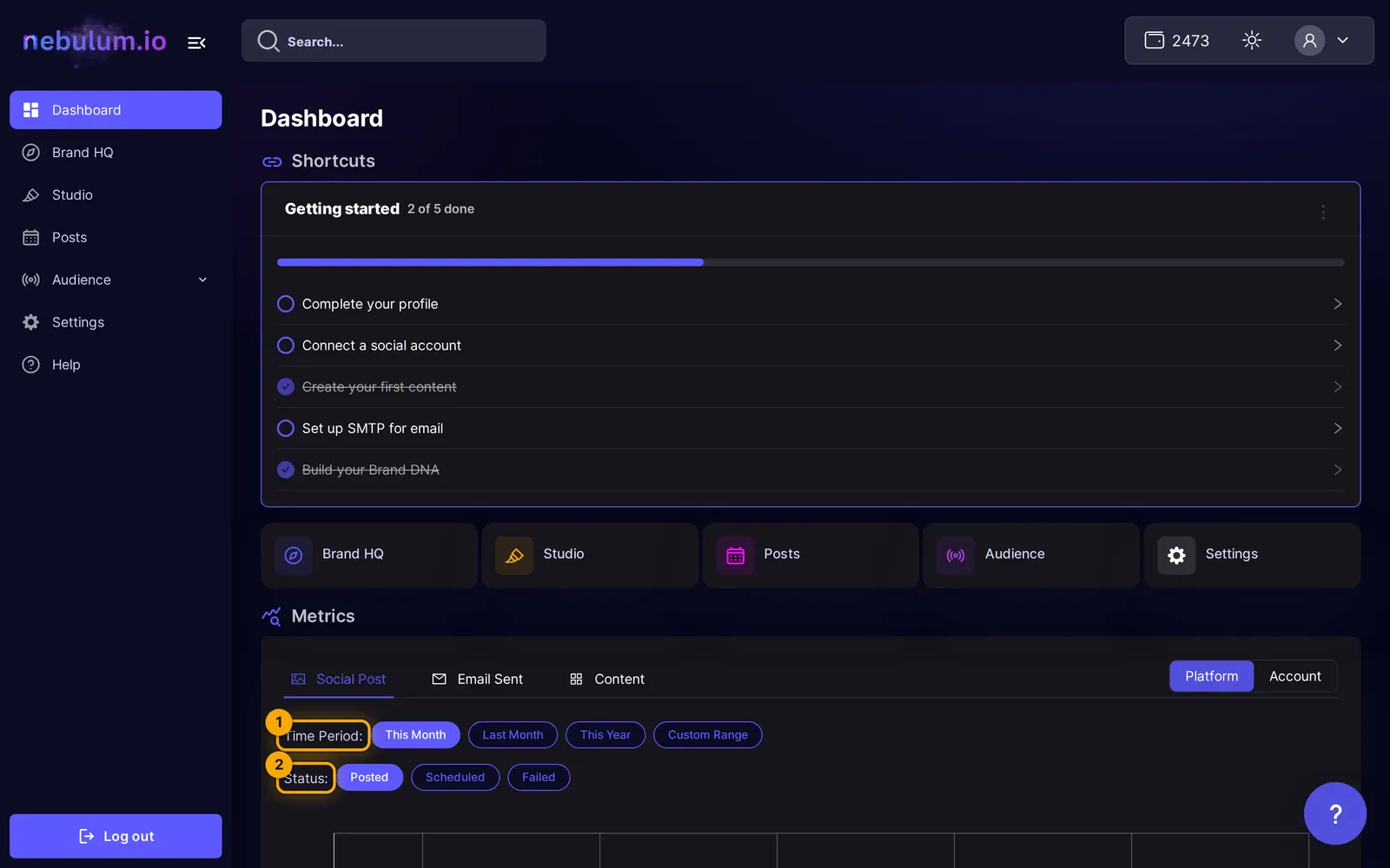 The Metrics panel on the Social Post tab with Time Period and Status filter chips and the Platform/Account toggle